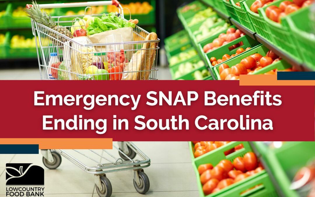 Emergency SNAP Benefits Ending in South Carolina