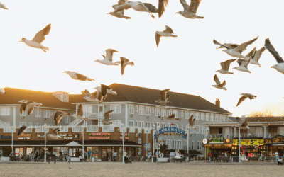 From salon.com: Tourist towns see rising hunger in the off-season